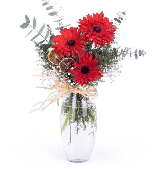 3 States of Kırmızı Gerbera Aranjmanı